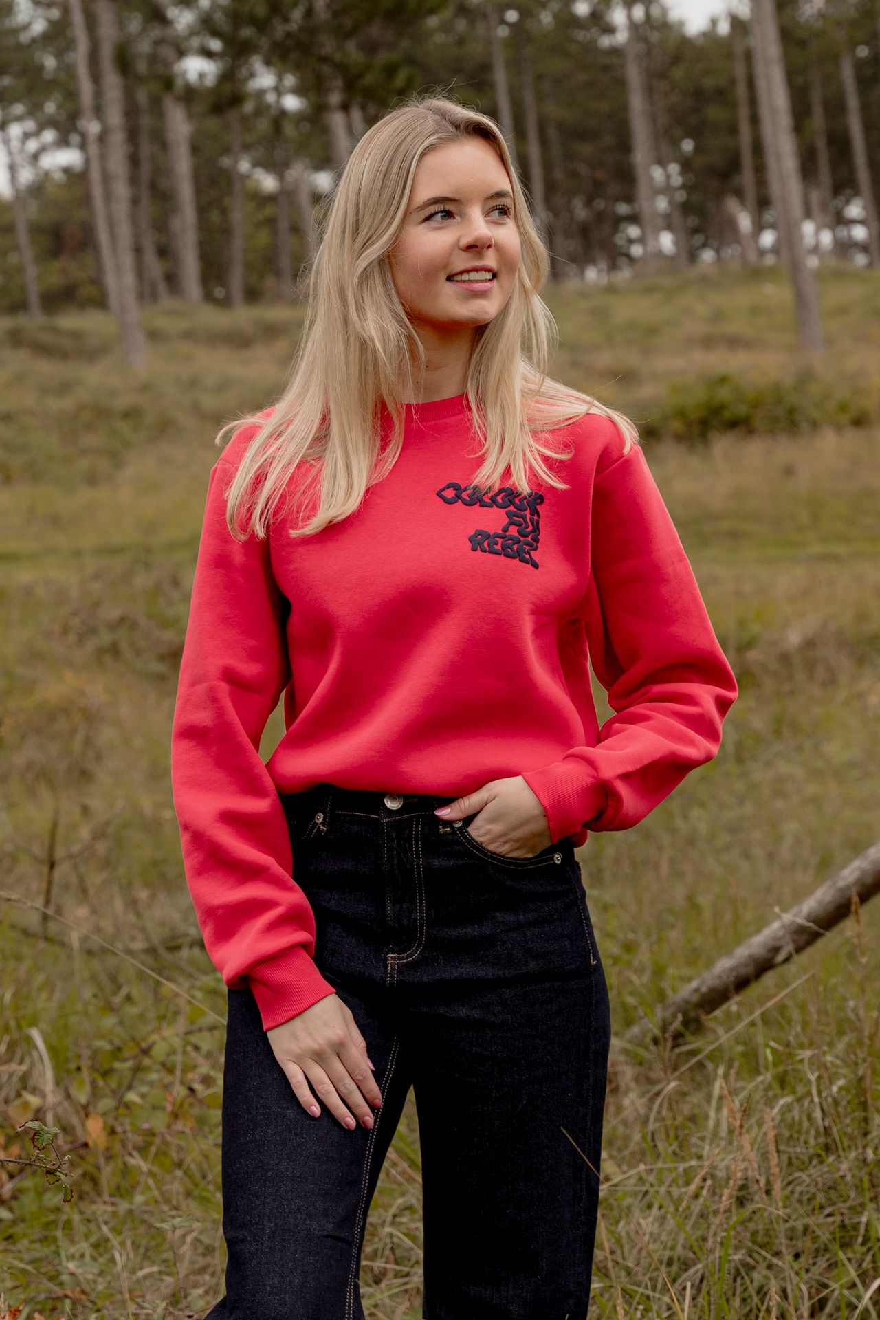Colourful Rebel Logo Wave Relaxed Sweat 600 red 2900159432029